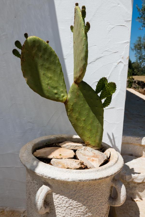 Villa Il Trullo Della Rondinina à Alberobello Extérieur photo