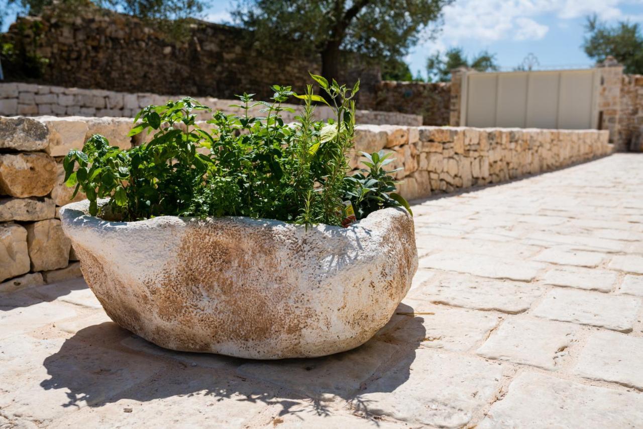 Villa Il Trullo Della Rondinina à Alberobello Extérieur photo