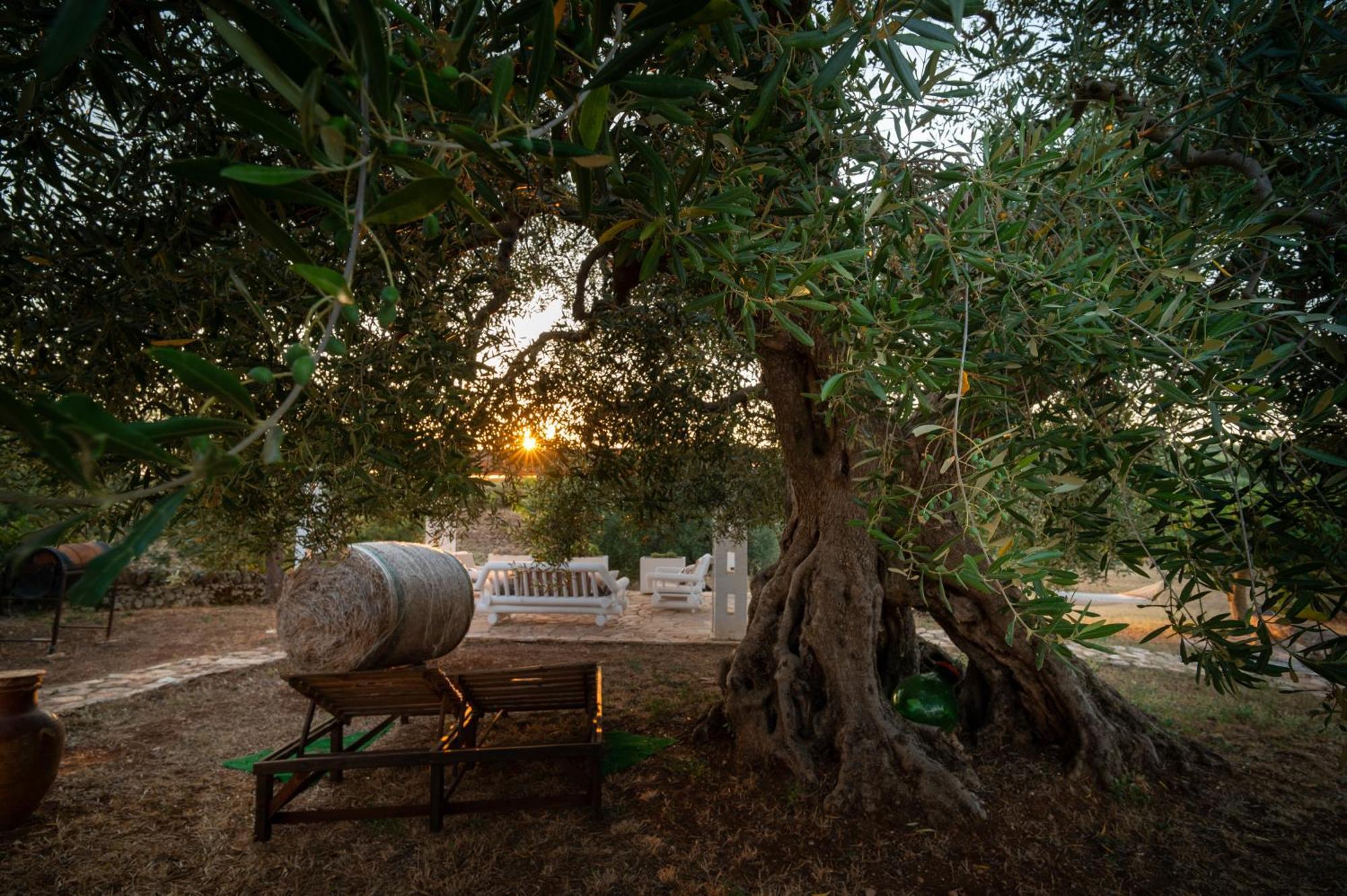 Villa Il Trullo Della Rondinina à Alberobello Extérieur photo