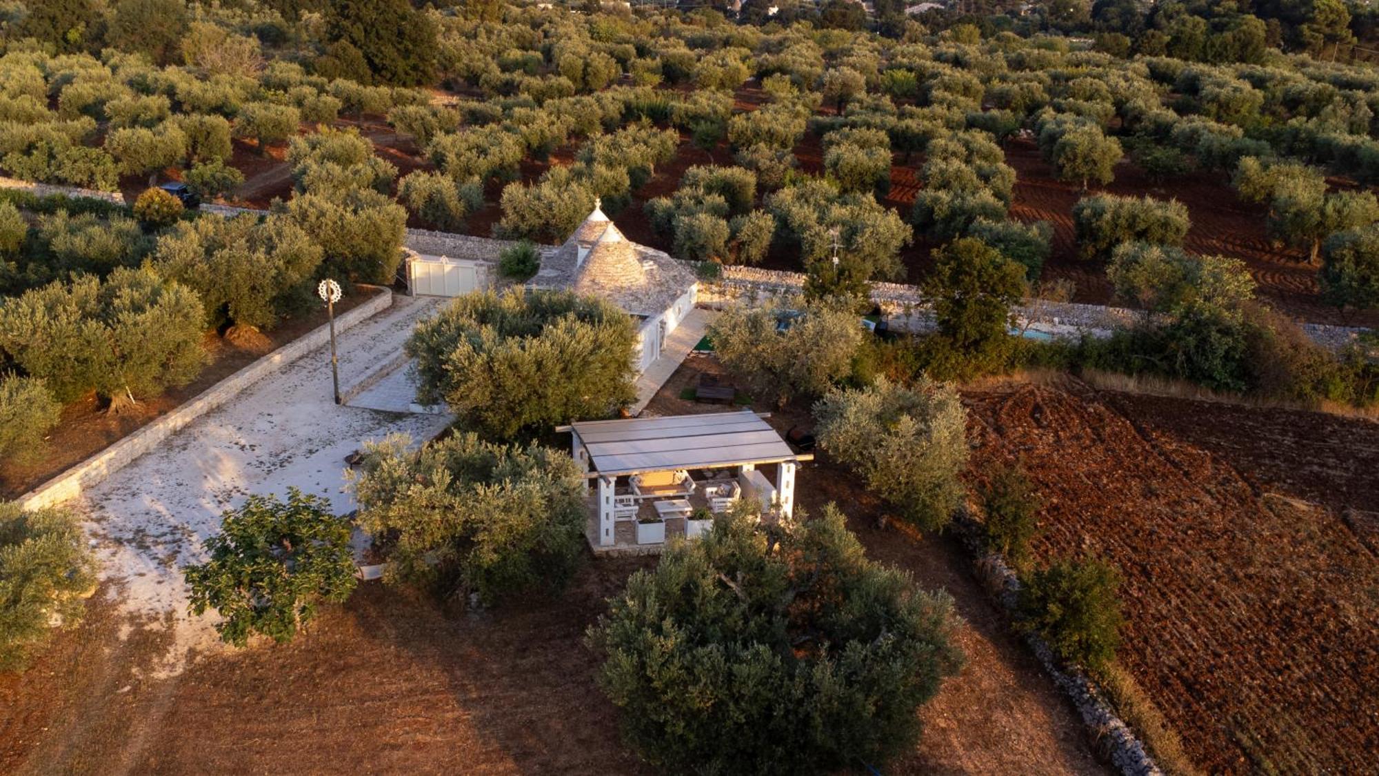 Villa Il Trullo Della Rondinina à Alberobello Extérieur photo